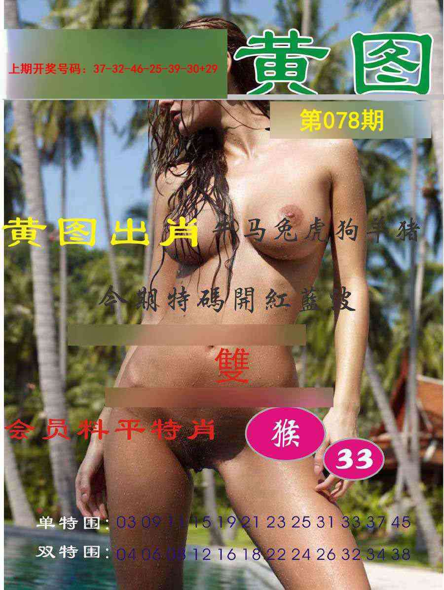 078期黄图[图]