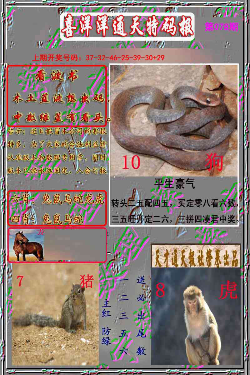 078期洋通报[图]