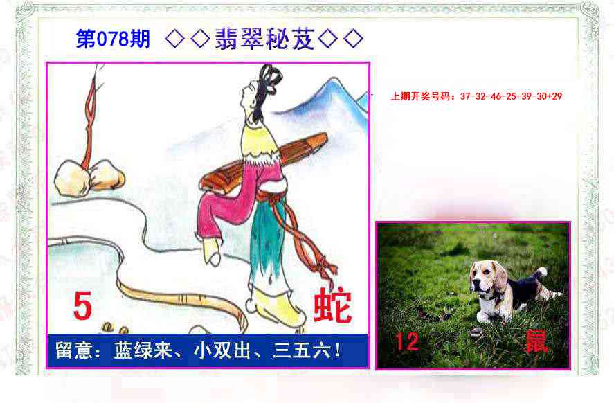 078期翡翠报[图]