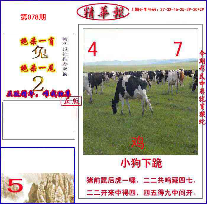 078期新精华报报[图]